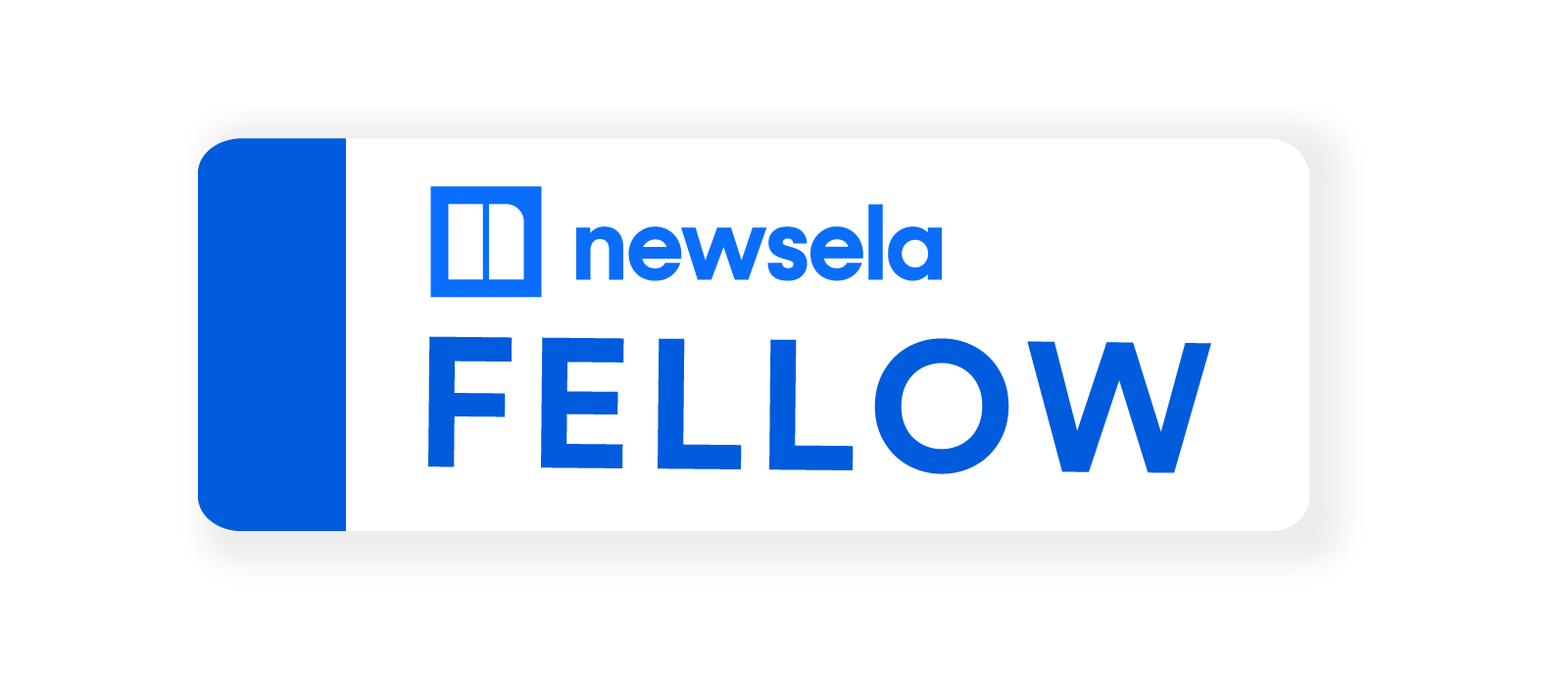 Newsela Fellow