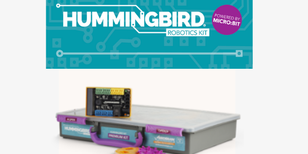 Birdbrain – Hummingbird